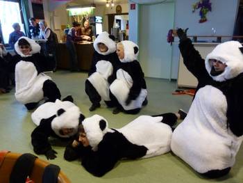 Hausener Panda-Bärchen
Männerballett: Schwanensee
Taunusklubchor live
Die Fahranfängerin
Der Kartoffelprinz