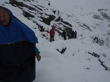 Krimmler Wasserfälle
Gruppenfoto
Krimmler Achental
Abstieg von der Richterhütte
Pferde im Schnee an der Rainbachalm