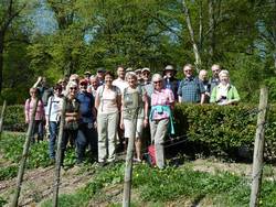 Wandergruppe "Wo Mutter Erde sprudelt"