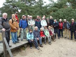 In den Schwanheimer Dünen